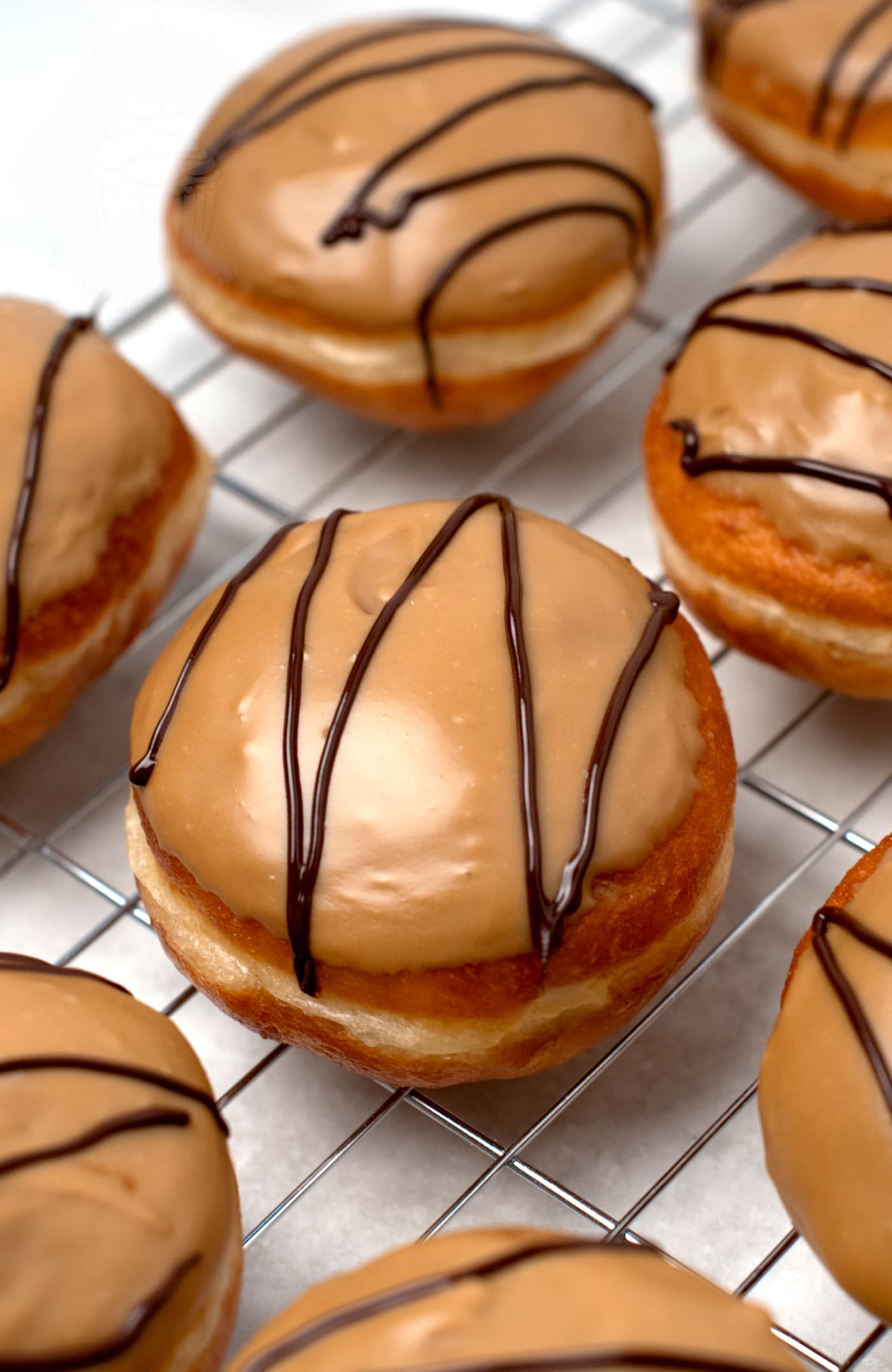 Fudge Doughnuts Mcghees x2 - Scottish Hampers