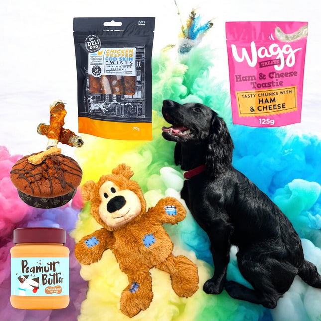 Pawfect Treat Hamper - Scottish Hampers