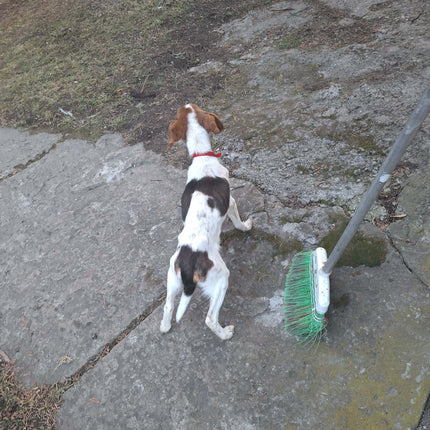 Pawfect Treat Hamper in aid of ROLDA UK - Scottish Hampers