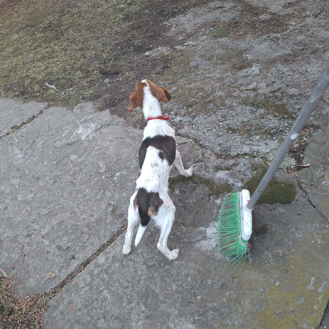 Pawfect Treat Hamper in aid of ROLDA UK - Scottish Hampers