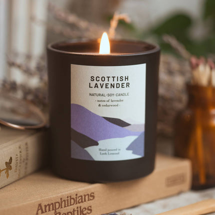 Scottish Lavender, Organic Scented Candle | Ocoee House: Single Wick - Scottish Hampers