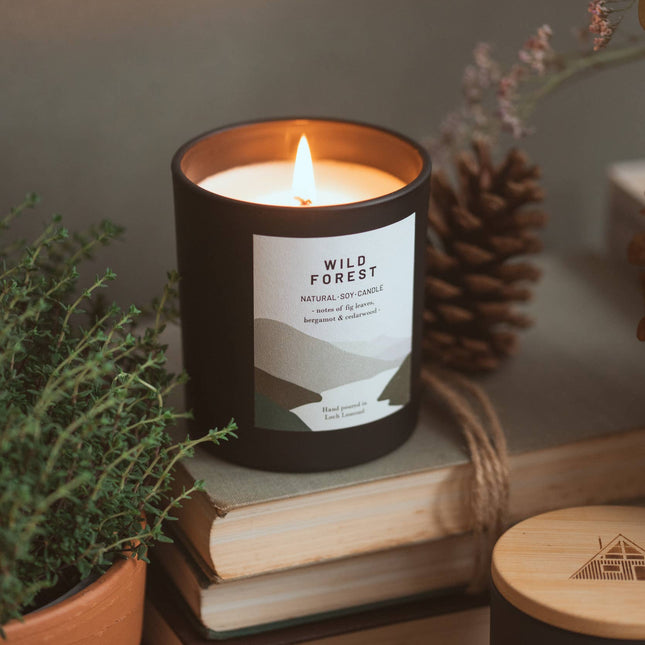 Wild Forest, Organic & Vegan Scented Candle | Ocoee House: Single Wick - Scottish Hampers